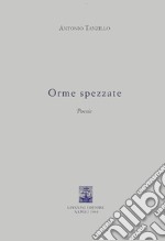 Orme spezzate libro