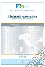 Industria aeronautica. Struttura e prospettive di crescita libro