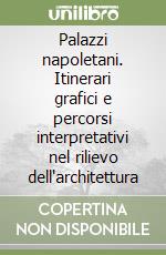 Palazzi napoletani. Itinerari grafici e percorsi interpretativi nel rilievo dell'architettura