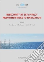 Insecurity at sea: Piracy and other risks to navigation