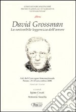 David Grossman. La sostenibile leggenda dell'amore libro