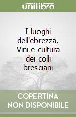 I luoghi dell'ebrezza. Vini e cultura dei colli bresciani libro