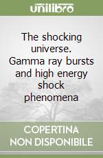 The shocking universe. Gamma ray bursts and high energy shock phenomena