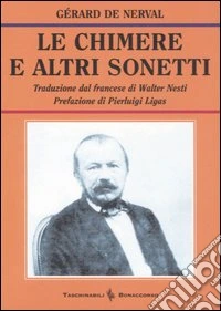 Il sole sulle pietre libro