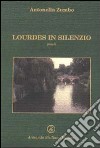 Lourdes in silenzio libro