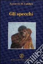 Gli specchi libro