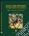 Iliad and Odyssey in the North of Europe. Iliade e Odissea nel Nord Europa libro