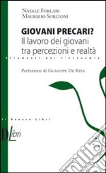 Giovani precari? Il lavoro dei giovani tra percezione e realtà libro