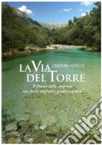 La via del Torre. Il fiume delle sorprese tra forre, anfratti, grotte e grave libro