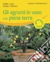 Gli agrumi in vaso e in piena terra. Scelta, cura, messa a dimora. Ediz. illustrata libro di Klock Monika Klock Thorsten