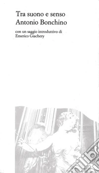 Tra suono e senso libro
