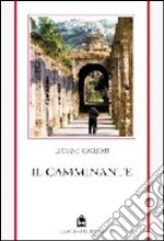 Il camminante libro