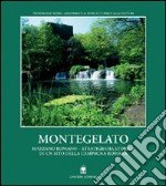 Montegelato-Mazzano Romano. Stratigrafia storica di un sito della campagna roma