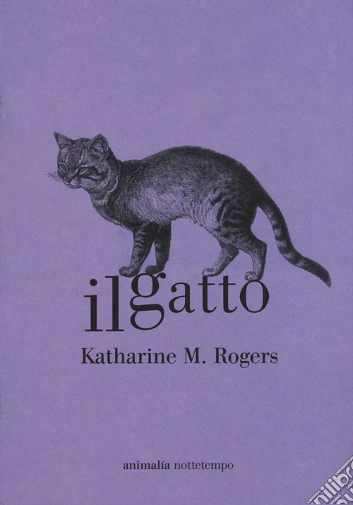 Il gatto