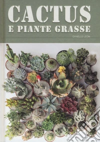 Cactus e piante grasse