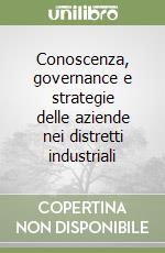 Conoscenza, governance e strategie delle aziende nei distretti industriali libro