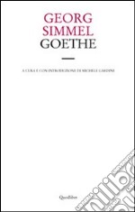 Goethe libro