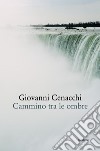 Cammino fra le ombre libro di Cenacchi Giovanni