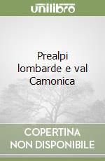 Prealpi lombarde e val Camonica