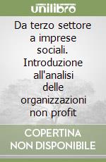 Da terzo settore a imprese sociali. Introduzione all'analisi delle organizzazioni non profit
