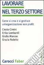 Lavorare nel terzo settore. Come si crea e si gestisce un'organizzazione non profit libro