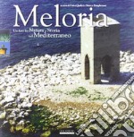 Meloria. Un faro fra natura e storia nel Mediterraneo libro