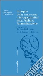 Sviluppo della conoscenza interorganizzativa nella pubblica amministrazione. Rilevazione dei carichi di lavoro nel tribunale di Potenza