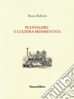 Plusvalore e cultura sedimentata