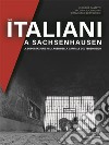 Gli italiani a Sachsenhausen. La deportazione nel Lager della capitale del Terzo Reich libro