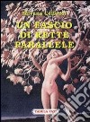 Un fascio di rette parallele libro