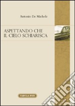 Aspettando che il cielo schiarisca libro