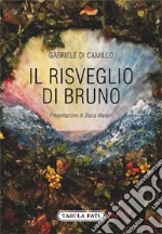 Il risveglio di Bruno libro