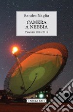 Camera a nebbia. Taccuini 2014-2019 libro