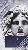 Cuma. Il Foro. Scavi dell'Università di Napoli Federico II, 2000-2001. Ediz. illustrata libro di Gasparri C. (cur.) Greco G. (cur.)