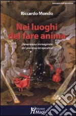 Nei luoghi del fare anima. Dimensione immaginale del processo terapeutico libro