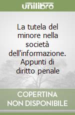 La tutela del minore nella società dell'informazione. Appunti di diritto penale