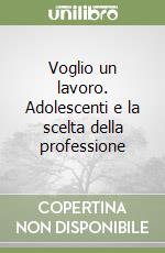 Voglio un lavoro. Adolescenti e la scelta della professione libro