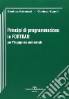 Principi di programmazione in Fortran per l'ingegneria ambientale libro