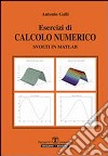Esercizi di calcolo numerico svolti in Matlab libro di Galli Antonio