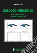 Calcolo numerico. Esercizi per il corso di modelli matematici libro