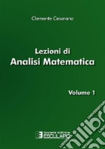 Lezioni di analisi matematica. Vol. 1 libro