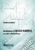 Introduzione al calcolo numerico con codici in Matlab/Octave libro