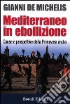 Mediterraneo in ebollizione. Cause e prospettive della Primavera araba libro