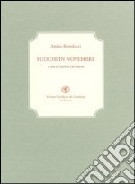 Fuochi in novembre libro