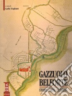 Gazzuolo Belforte. Storia, arte, cultura libro