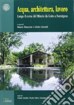 Acqua, architettura, lavoro. Lungo il corso del Mincio da Goito a Formigosa libro