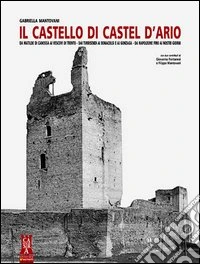 Il castello di Castel d'Ario