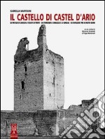 Il castello di Castel d'Ario libro