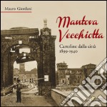 Mantova vecchiotta. Cartoline dalla città 1899-1940. Ediz. illustrata