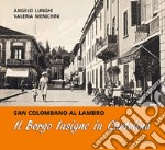 Il Borgo Insigne in cartolina. San Colombano al Lambro. Ediz. illustrata